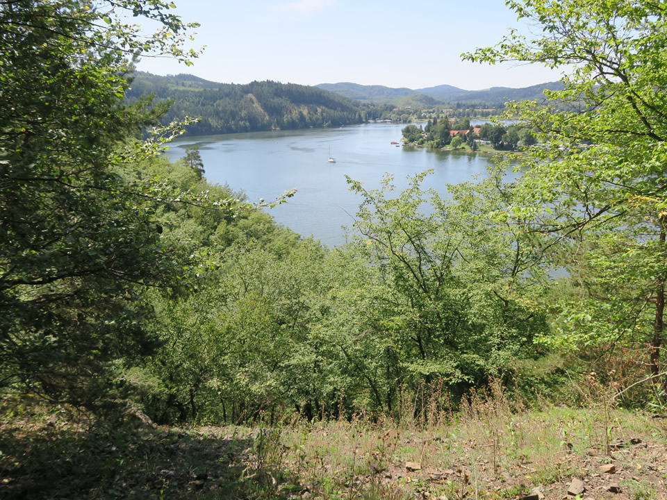 Blažim Stepní stráně nad Vltavou dnes zarůstají křovinami.